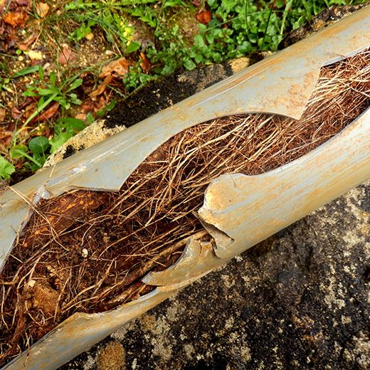 Same Day Drain Sewer & Rooter Pros Across Madison